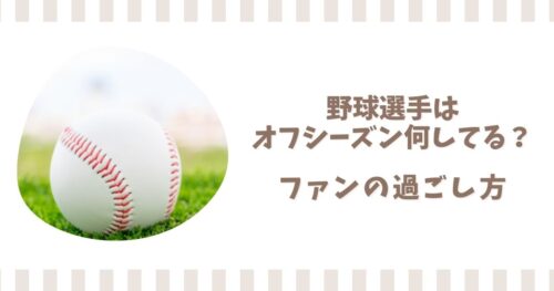野球選手はオフシーズン何してる？プロ野球ファンの過ごし方も解説