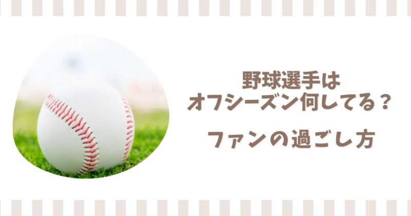 野球選手はオフシーズン何してる?プロ野球ファンの過ごし方も解説
