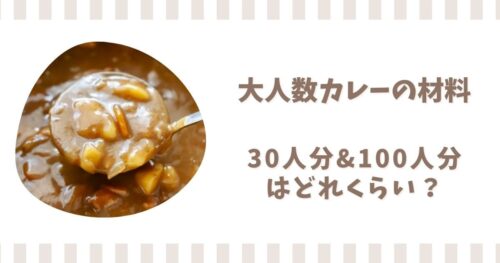 大人数のカレー30人分や100人分の材料！米や水は何リットル必要？