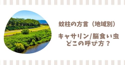 蚊柱の方言を地域別に解説！キャサリンや脳食い虫はどこの呼び方？