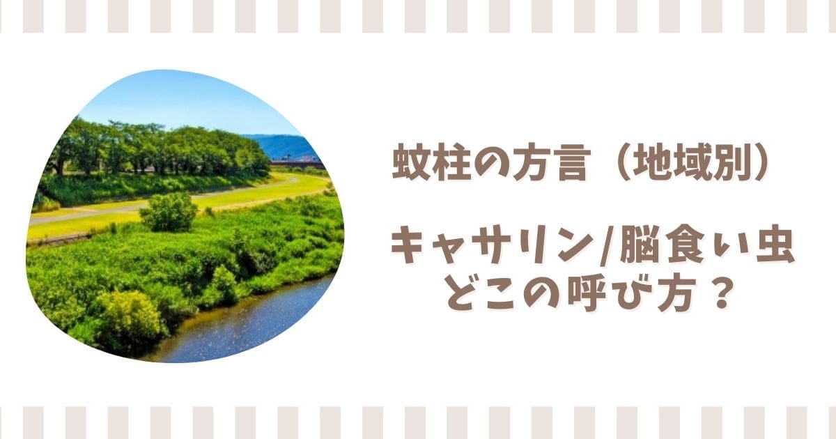蚊柱の方言を地域別に解説！キャサリンや脳食い虫はどこの呼び方？